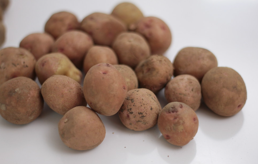 Papas canarias ¿Cuántas variedades de papas hay en Canarias?