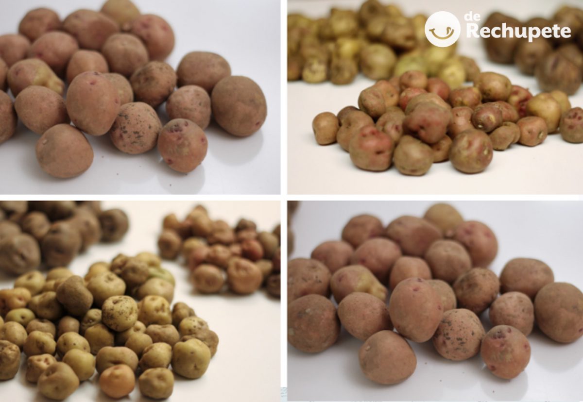 Papas canarias ¿Cuántas variedades de papas hay en Canarias?