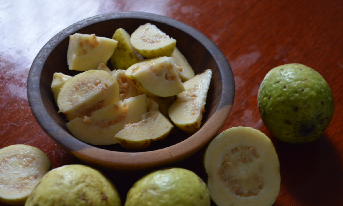 Bocadillo colombiano de guayaba o Veleño