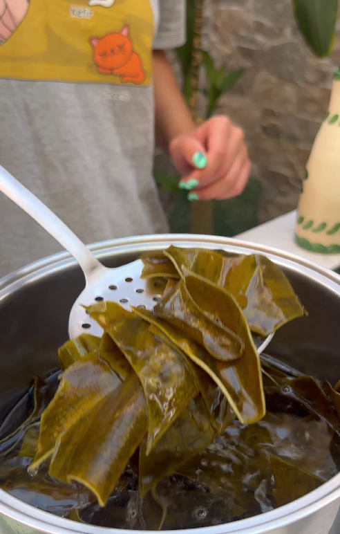 Caldo dashi. La sopa asiática con sabor a umami