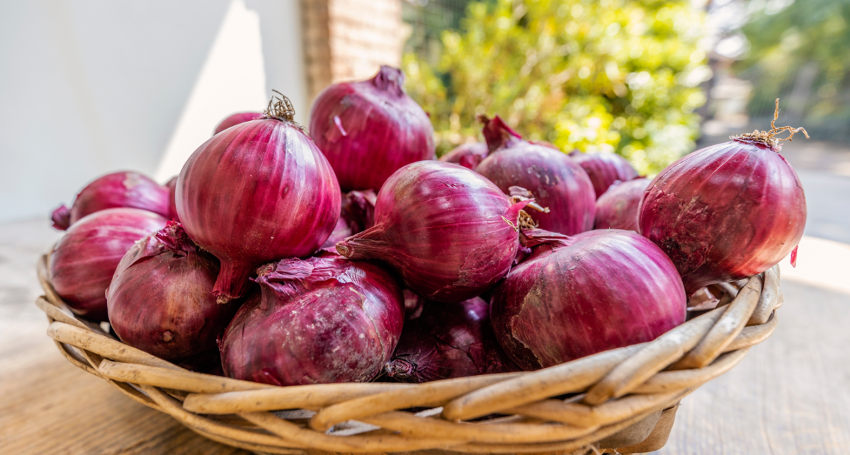 Cómo conservar las cebollas para que duren más
