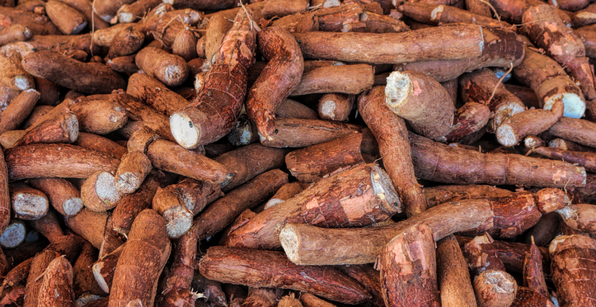 Harina de mandioca o yuca. ¿Qué es, cómo hacerla y emplearla y sustituirla en la cocina?