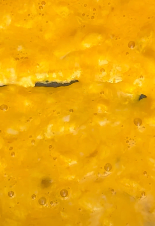 Tortilla de champiñones