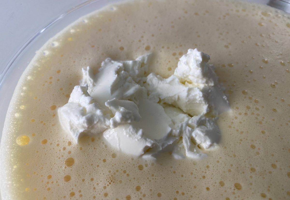 Quarkinis o buñuelos de queso crema. Un dulce de Carnaval