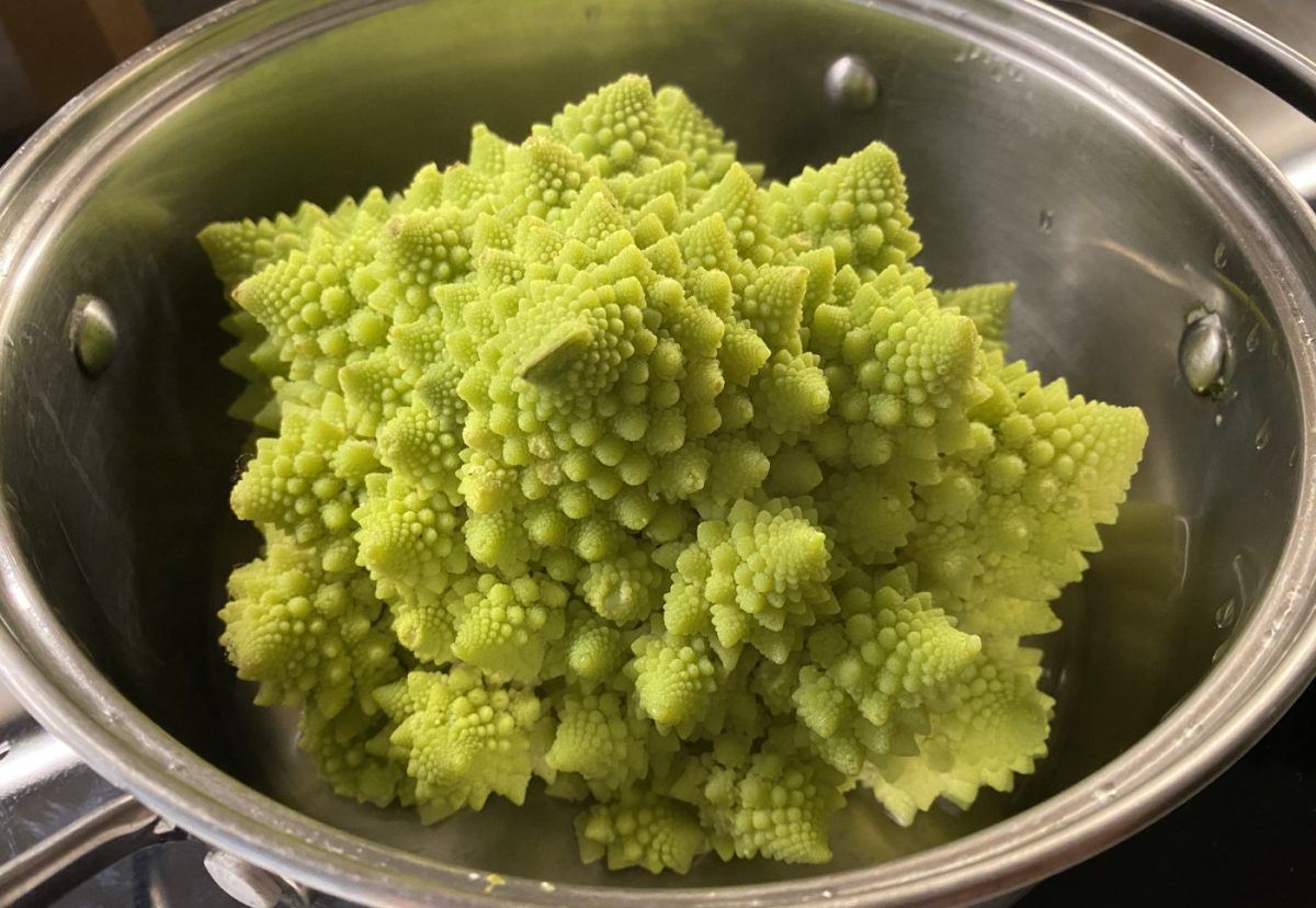 Romanescu con bechamel al horno. Prueba esta irresistible receta