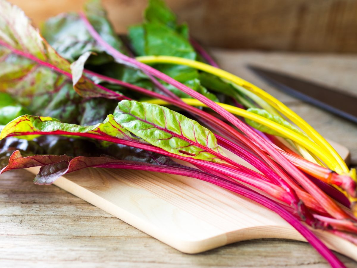 Verduras frescas de acelgas arcoíris