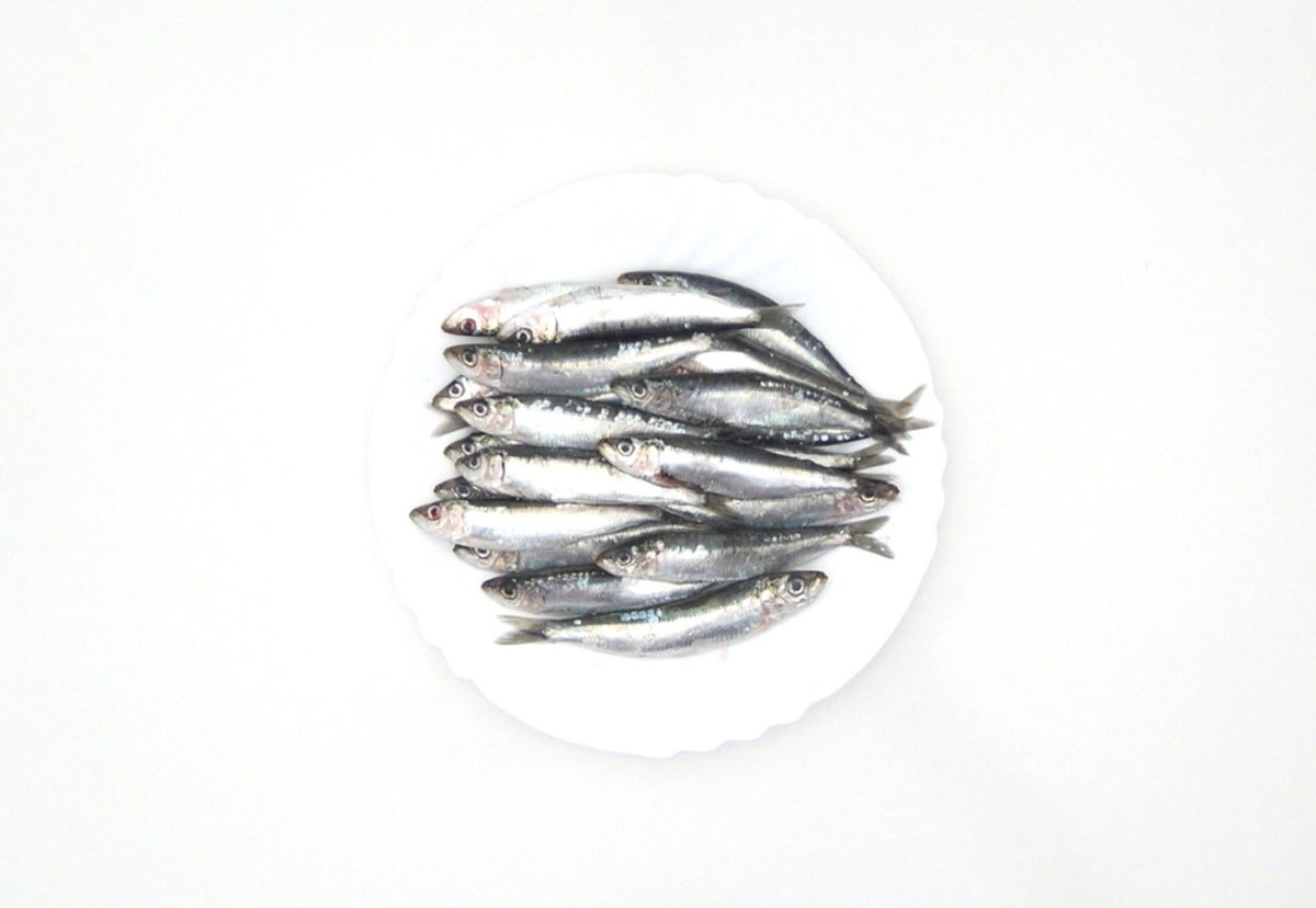 Boquerones al limón. La delicia del mar en tu mesa