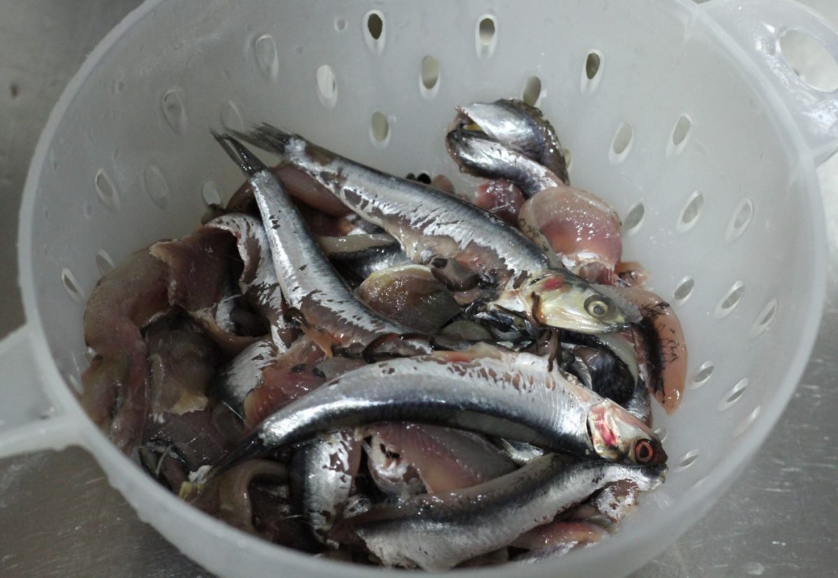 Cómo hacer boquerones en vinagre perfectos