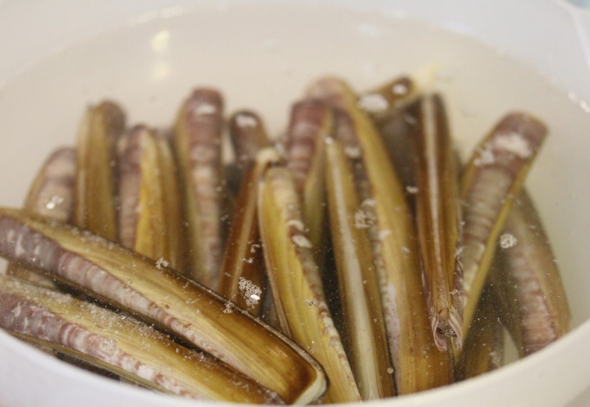 Navajas gallegas a la plancha con ajo y perejil