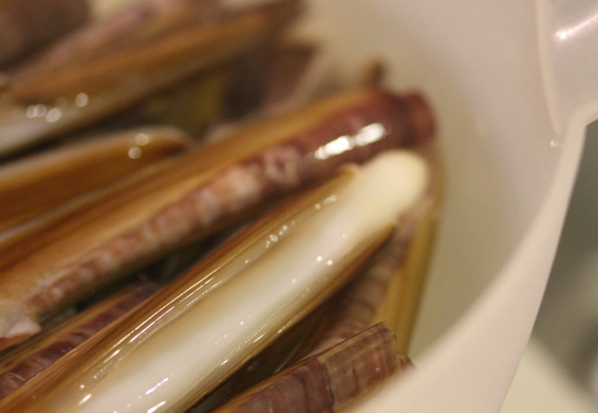 Navajas gallegas a la plancha con ajo y perejil