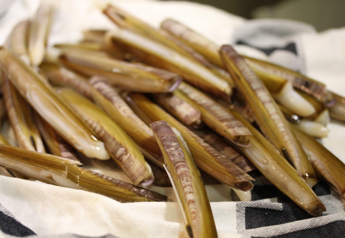 Navajas gallegas a la plancha con ajo y perejil