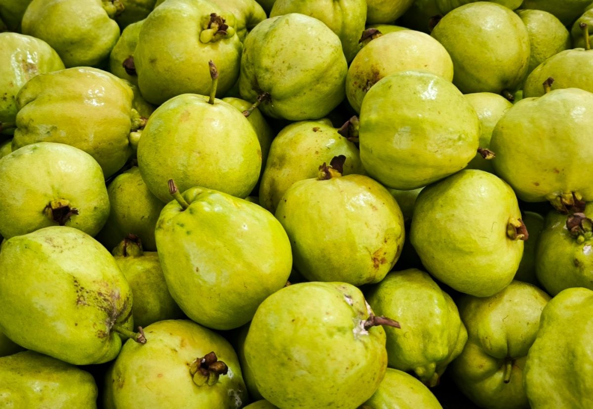 Guayaba. ¿Qué es? Propiedades y beneficios