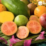 Guayaba. ¿Qué es? Propiedades y beneficios
