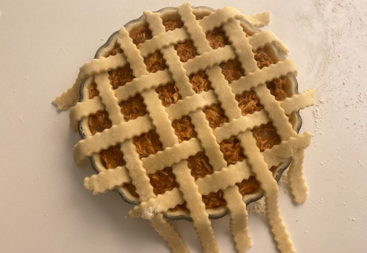 Pastel de pollo desmechado al horno. Sabor casero y delicioso