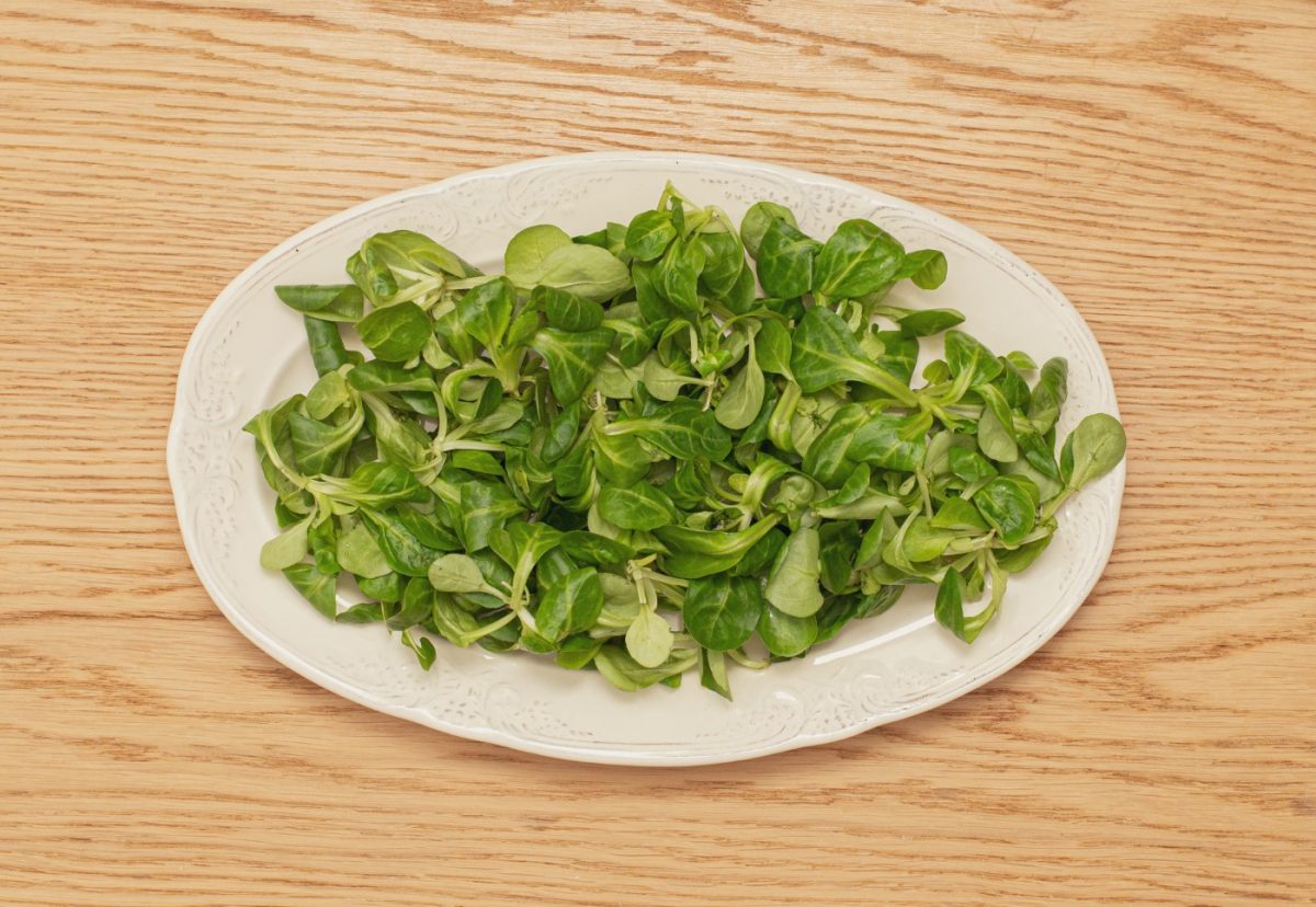 Ensalada de canónigos con queso de cabra, nueces y mermelada de frambuesa