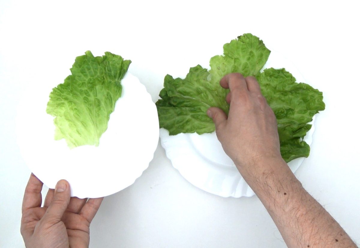 Cómo hacer una ensalada tropical. Rica, fresca y saludable