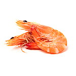 Ingredientes-Langostinos