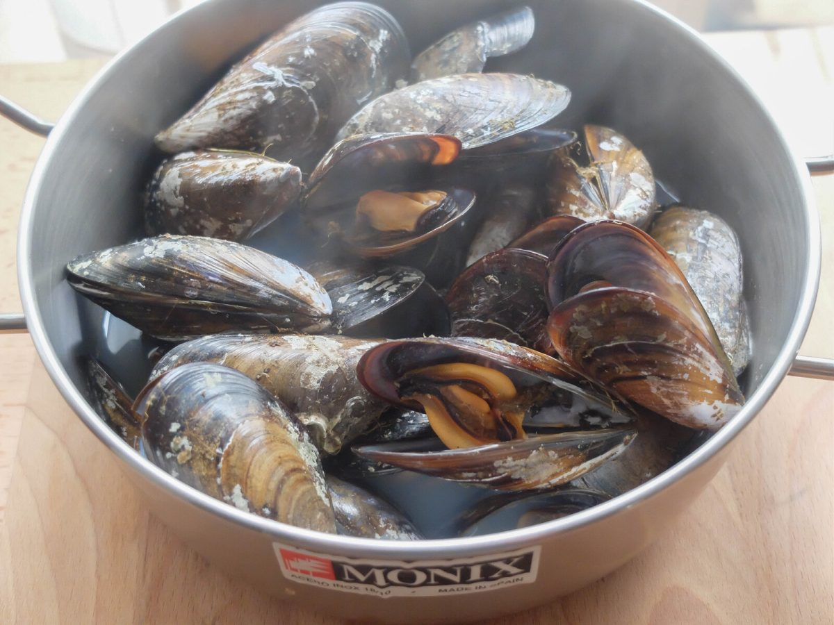 mejillones en salsa verde paso 3