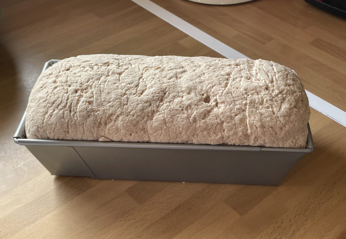 Cómo hacer pan sin gluten. La receta definitiva