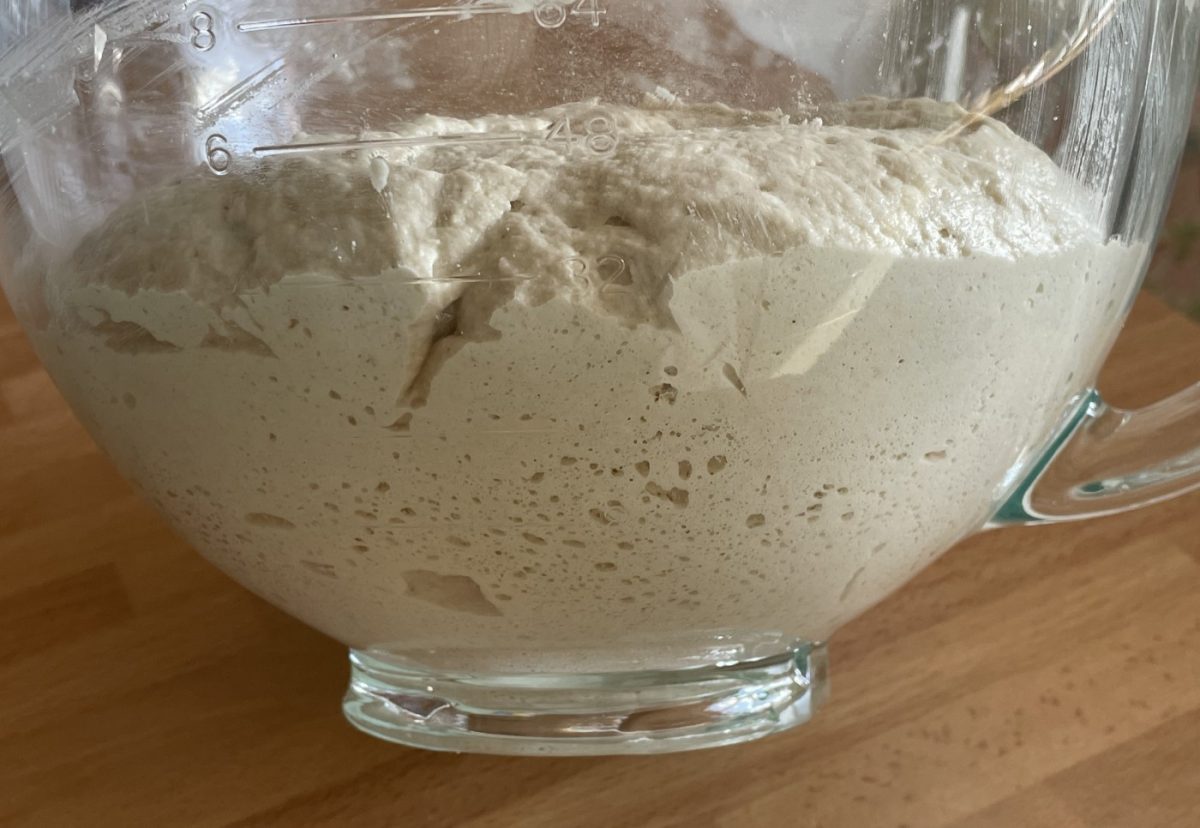 Receta de panecillos sencillos sin gluten