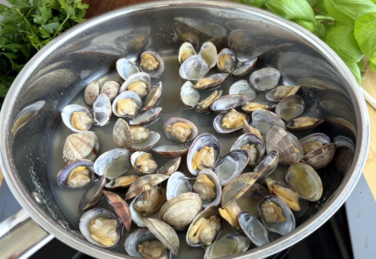 Pasta con salsa marinara con penne ziti rigate