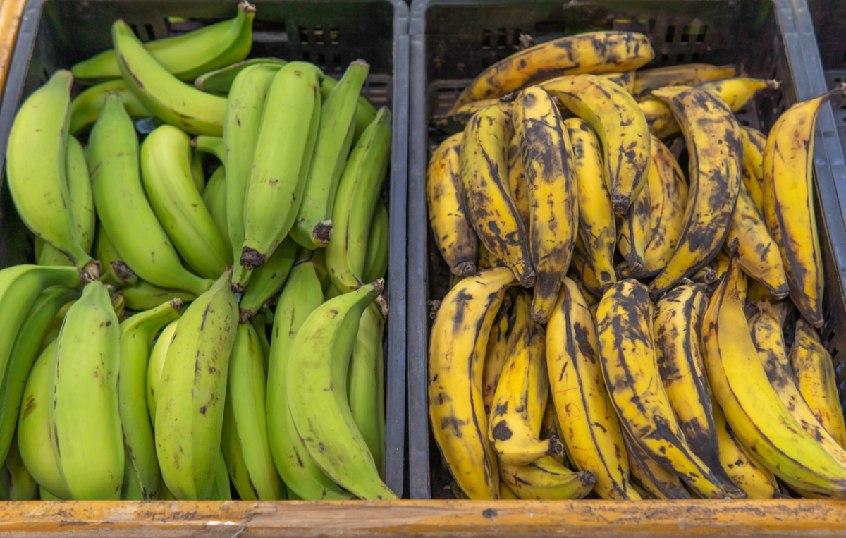 Plátano macho. ¿De dónde es? Beneficios y recetas
