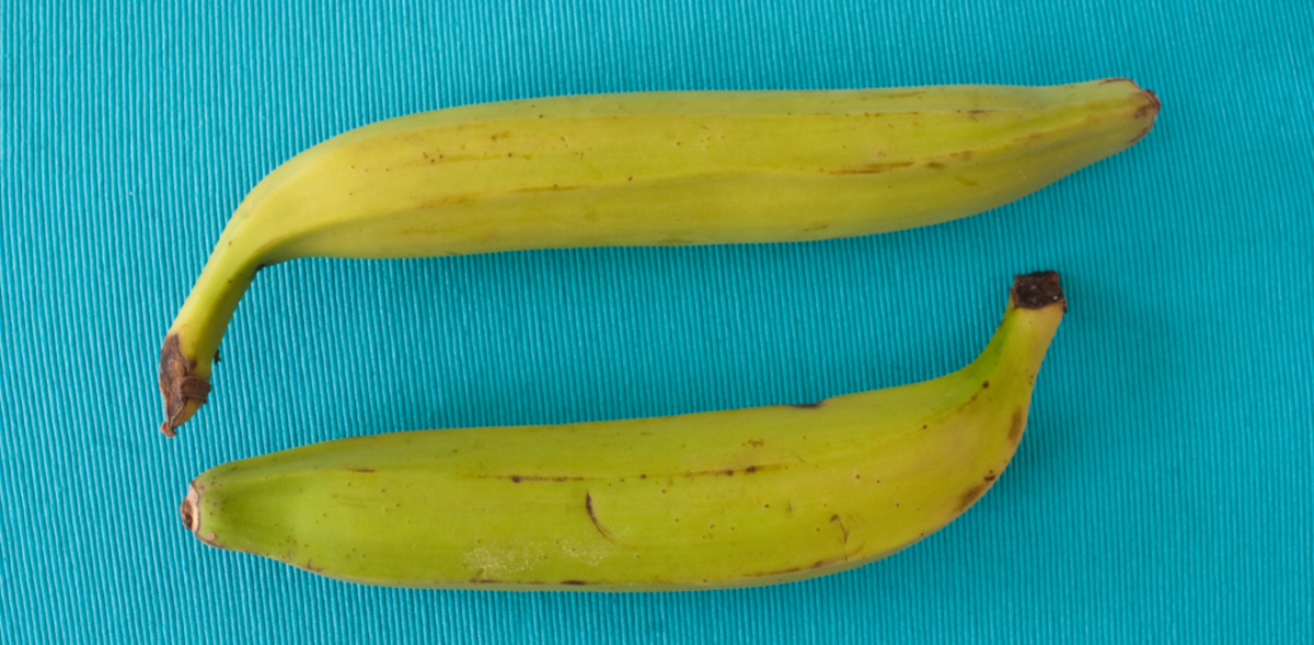 Plátano macho. ¿De dónde es? Beneficios y recetas