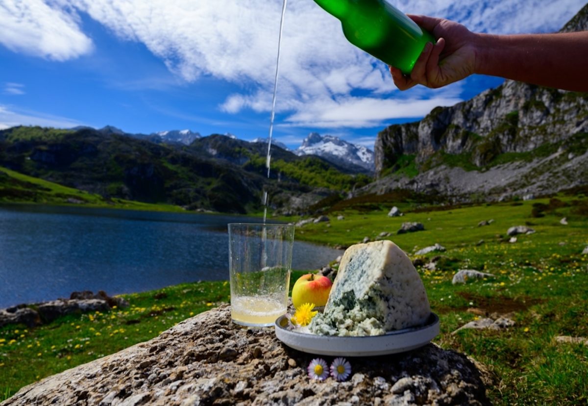Sidra. ¿qué es? origen, curiosidades y recetas