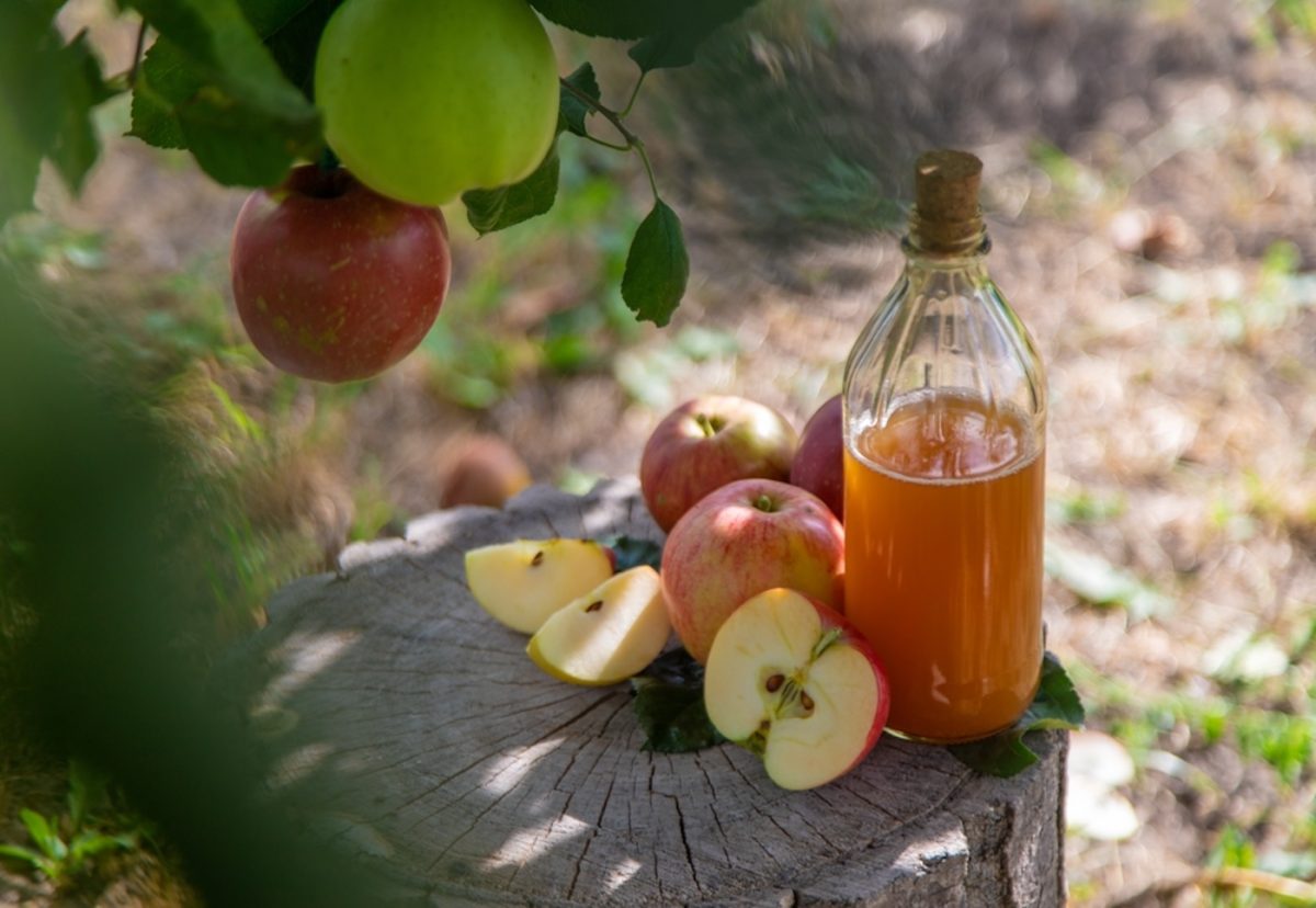 Sidra. ¿qué es? origen, curiosidades y recetas