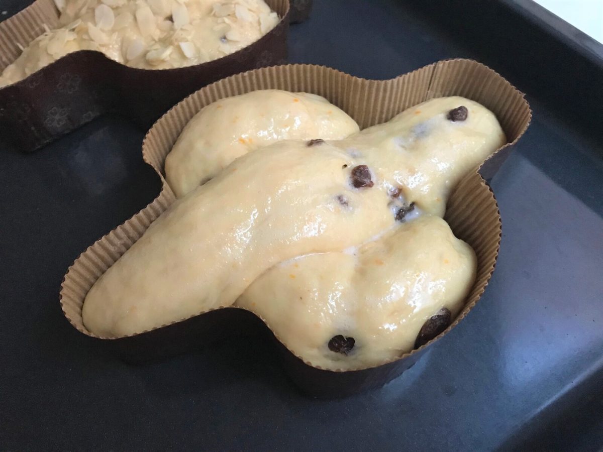 Colomba o paloma de pascua. postre de semana santa