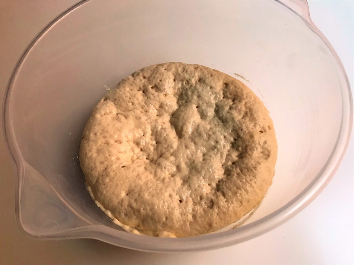 colomba o paloma de pascua paso 4