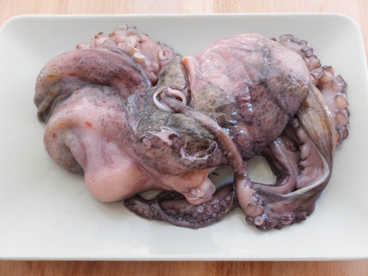 fabes con pulpo paso 2