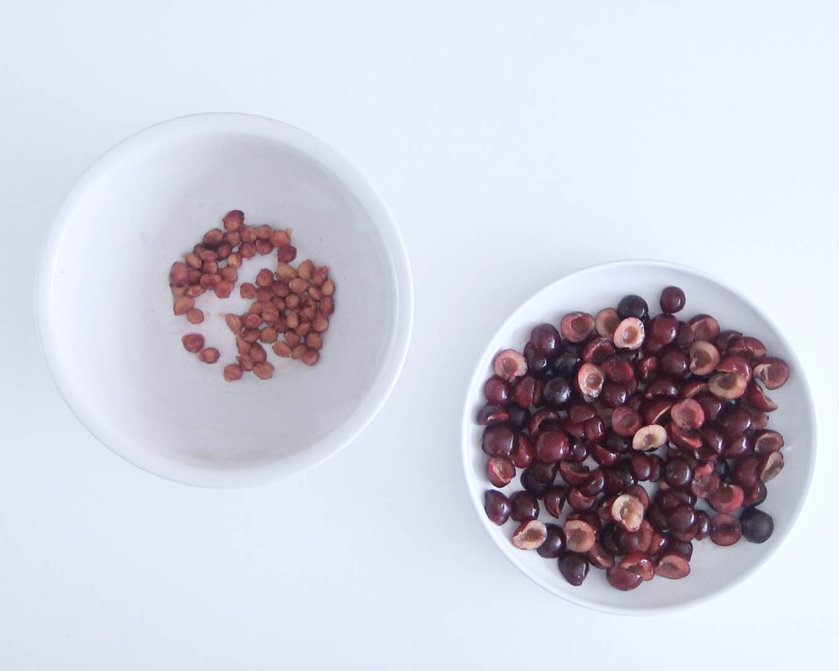 helado de cerezas picotas paso 4