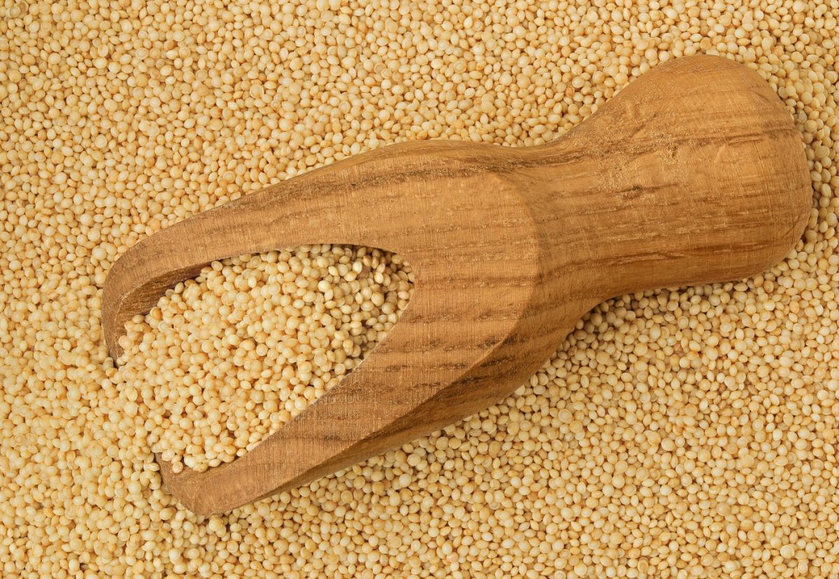 Amaranto. Qué es, propiedades, beneficios y cómo cocinarlo