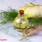 Hinojo ¿Qué es? Propiedades y usos en la cocina