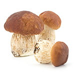 Ingredientes: Boletus