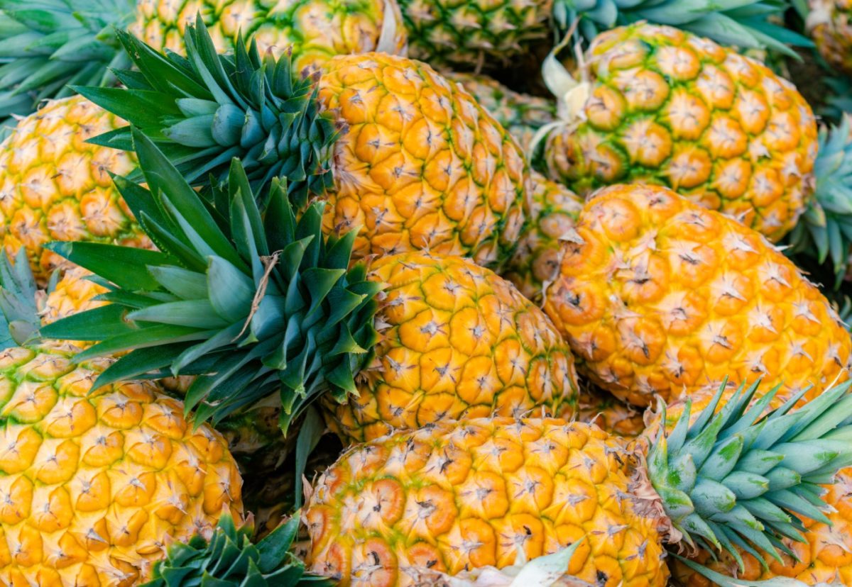 Piña. ¿Qué es? Beneficios y usos en la cocina