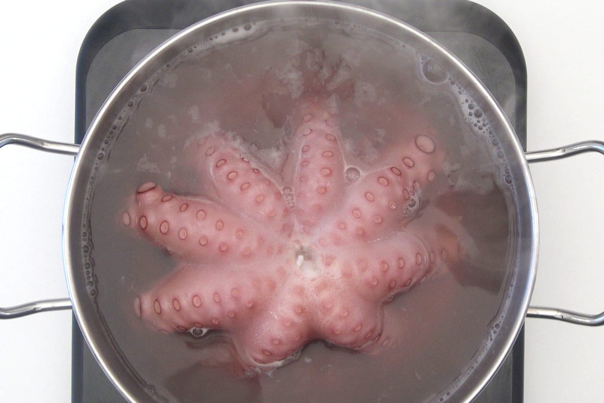 pulpo a feira paso 4