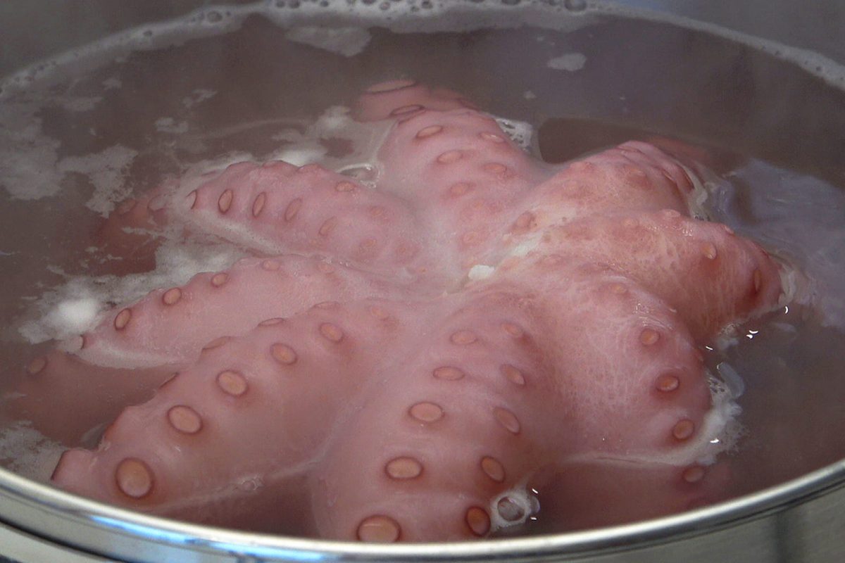 pulpo a feira paso 5
