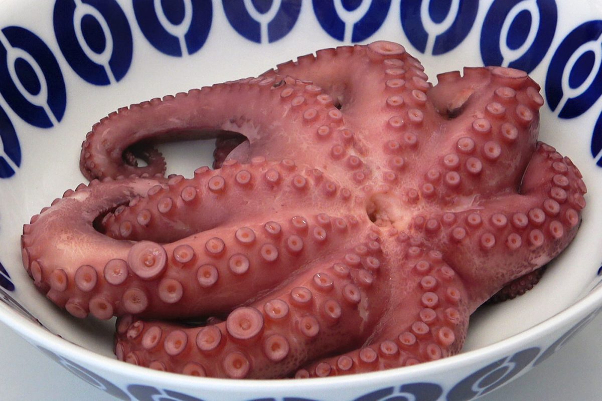pulpo a feira paso 7
