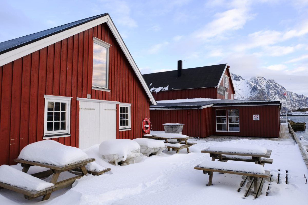 skrei islas lofoten paso 1