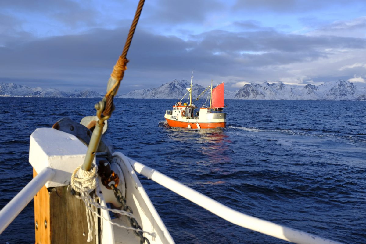 skrei islas lofoten paso 2