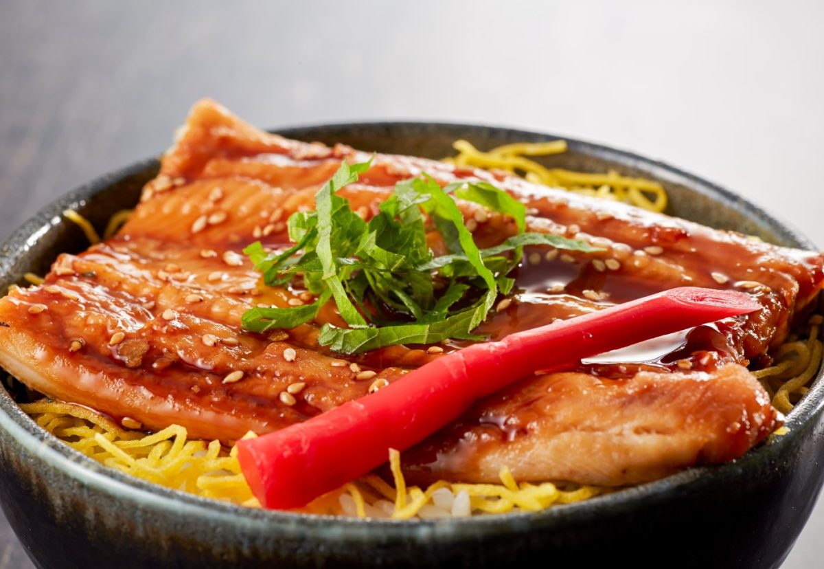 Congrio. ¿Qué es? Beneficios, usos en la cocina y recetas