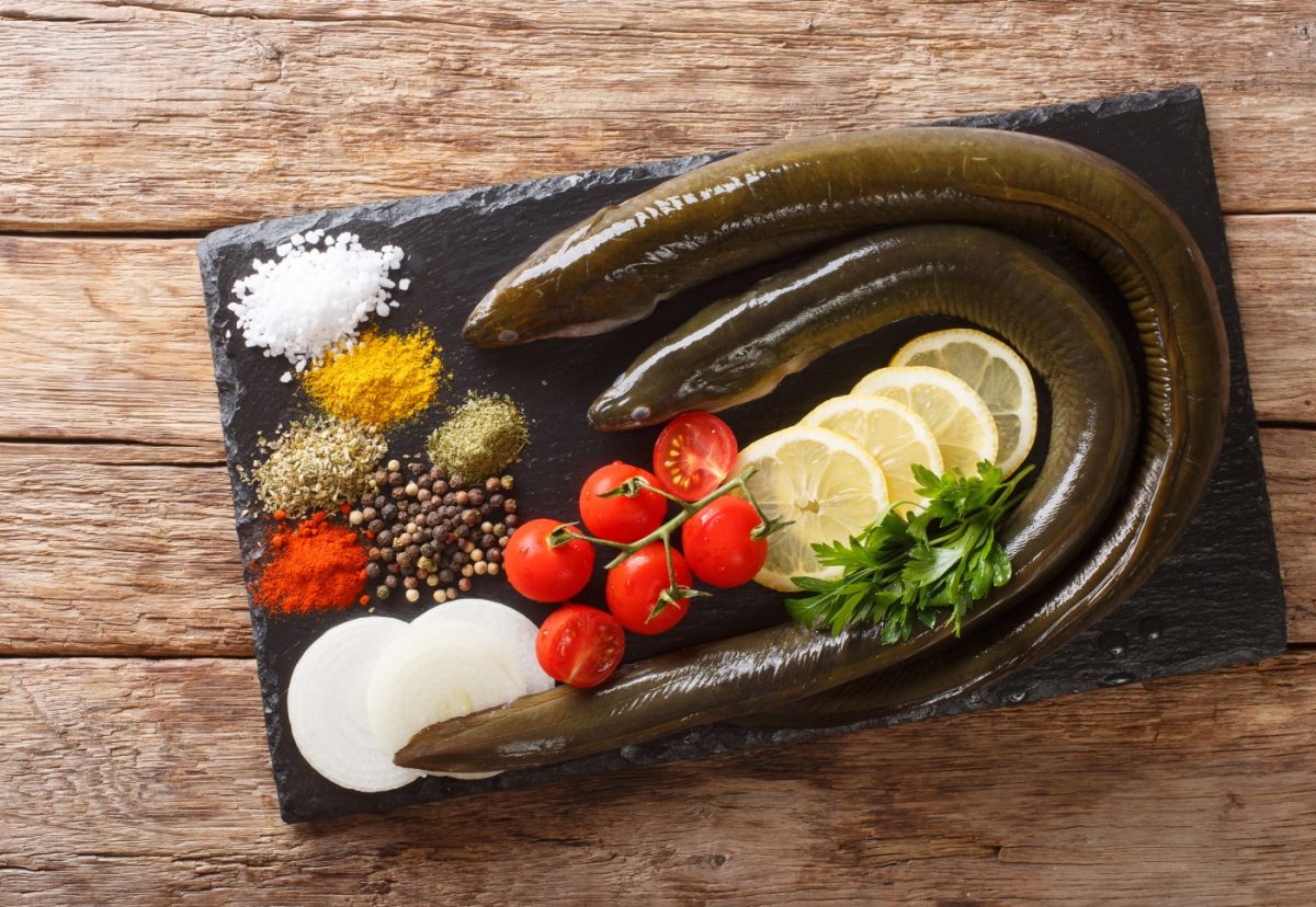 Congrio. ¿Qué es? Beneficios, usos en la cocina y recetas