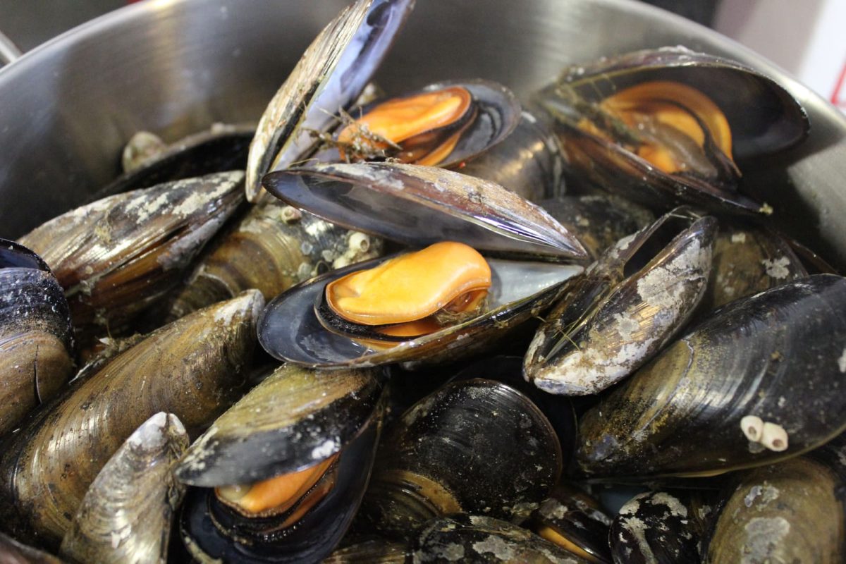 calabacines rellenos mejillones paso 7