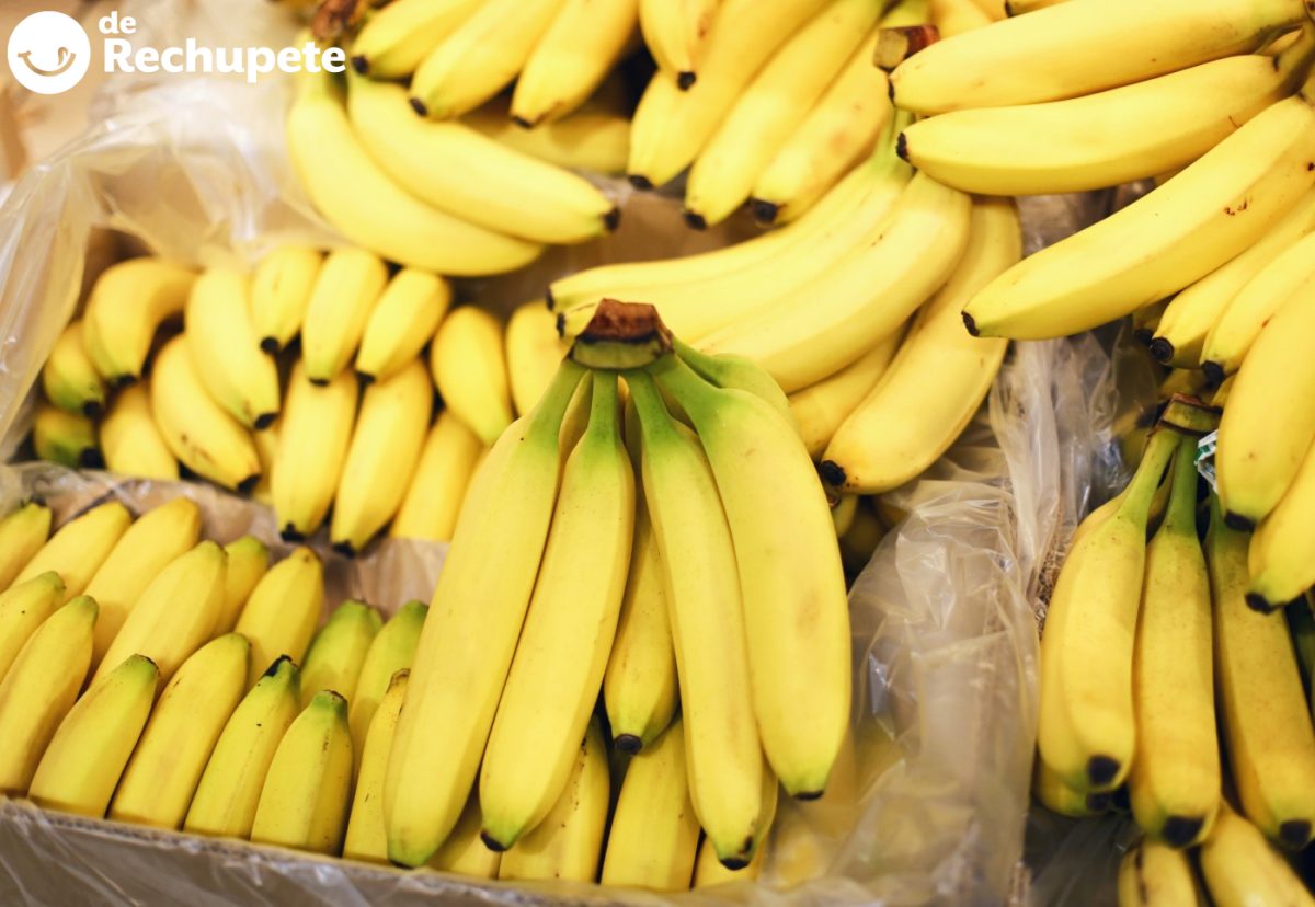¿Es lo mismo el plátano macho que la banana?