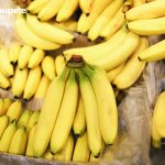 ¿Es lo mismo el plátano macho que la banana?