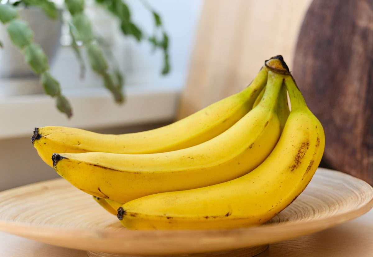 ¿Es lo mismo el plátano macho que la banana?