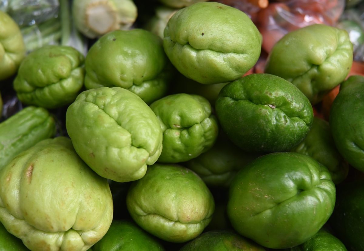 Choyote. Origen, propiedades, beneficios y recetas