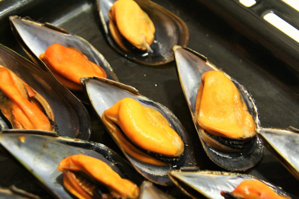 mejillones horno paso 11